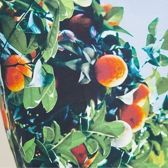 Anthropologie Maeve Orange Grove Dress Size 8P Sheath Fitted Spandex Midi Style - Picture 3 of 10